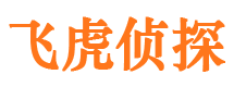 齐河捉小三公司